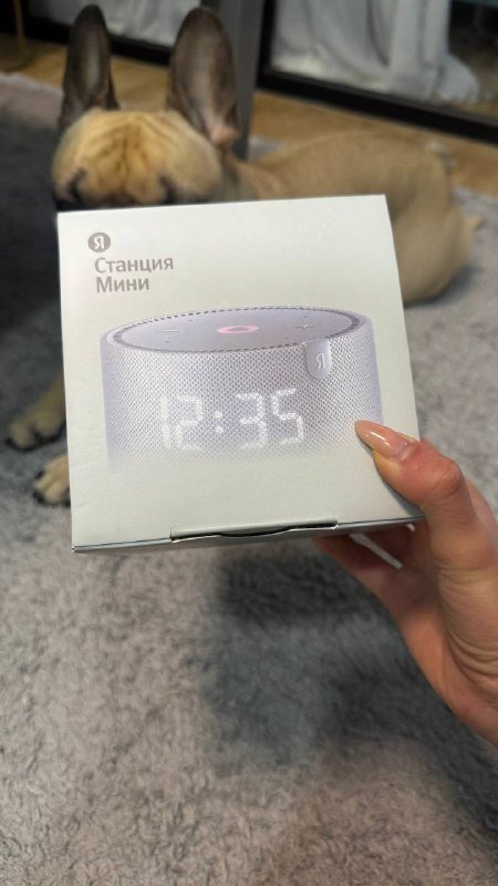 Яндекс станция Алиса Мини