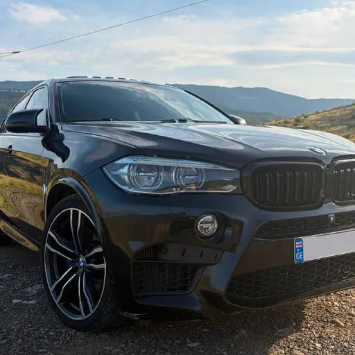 იყიდება სასწრაფოდ BMW X6M