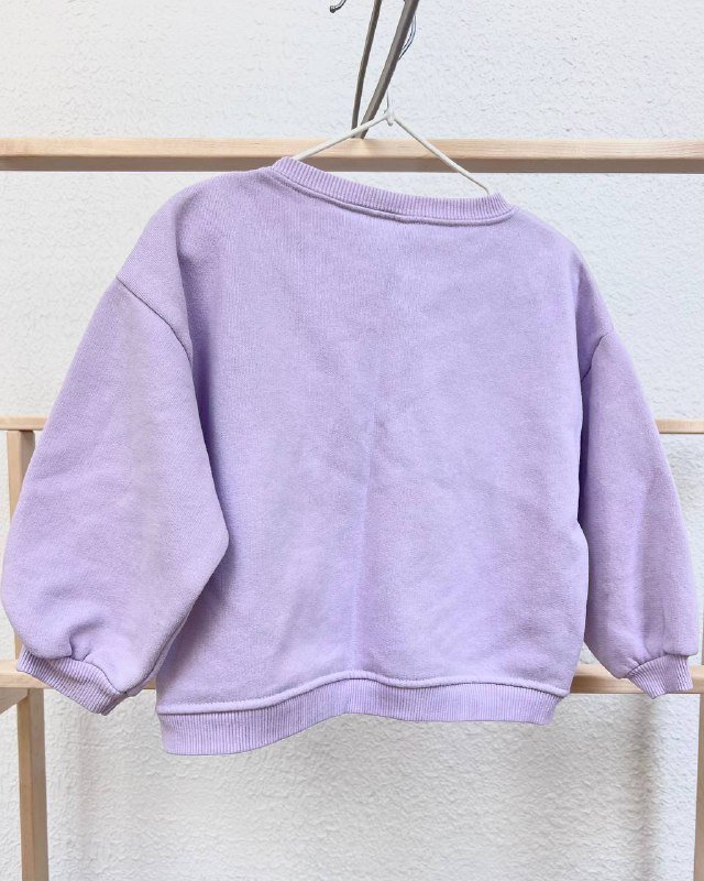 Свитшот с микро-начесом 3-4 года 2