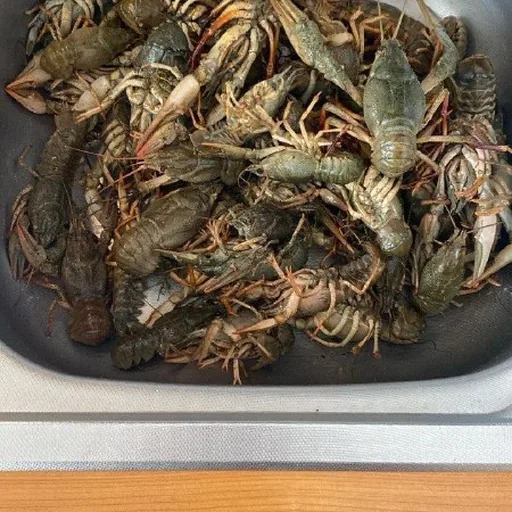 Раки, рыба, сало