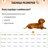 Комбинезоны для собак 4