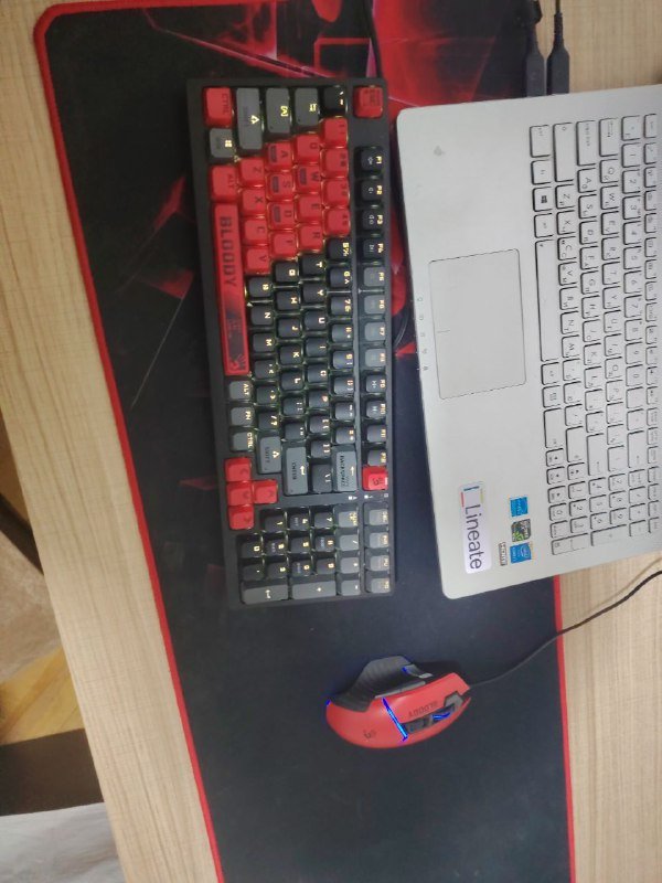 Комплект клавиатура и мышь Bloody