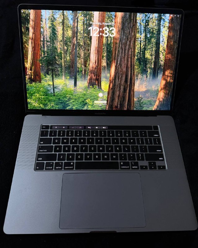 MacBook Pro 16 Intel i9 16GB RAM 1TB SSD 2019