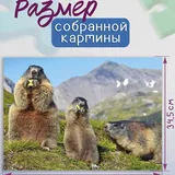 Пазл Step Puzzle с сурками, 500 деталей 2