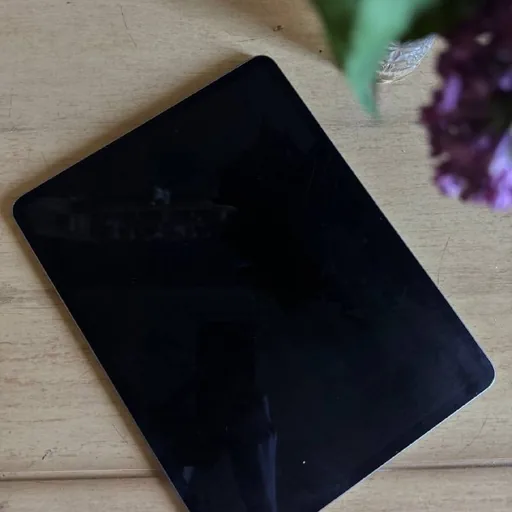 iPad Air 13-inch M2, 256 GB