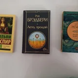 Книги: Сэлинджер, Шекспир, Рембо, Чехов и другие 5