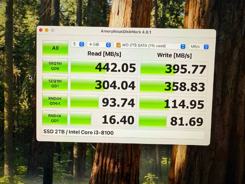 Жёсткий диск SSD WD Green SATA 2TB 3