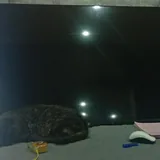 Телевизор UD 43" Android 1
