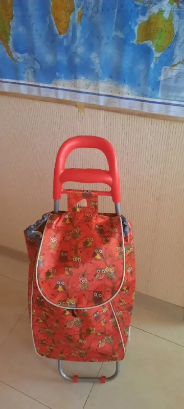 Сумка на колесах