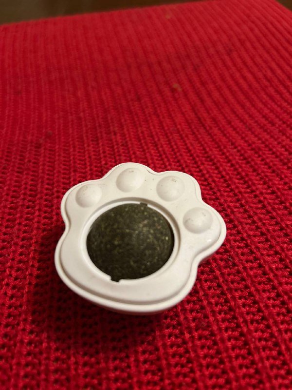 Мята для кошек