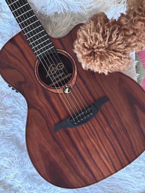 электро-акустическая гитара GLA SAUVAGE ACE с чехлом 6