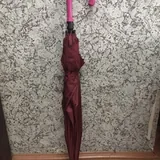 Зонт 1