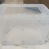Контейнер для хомячка с аксессуарами 1