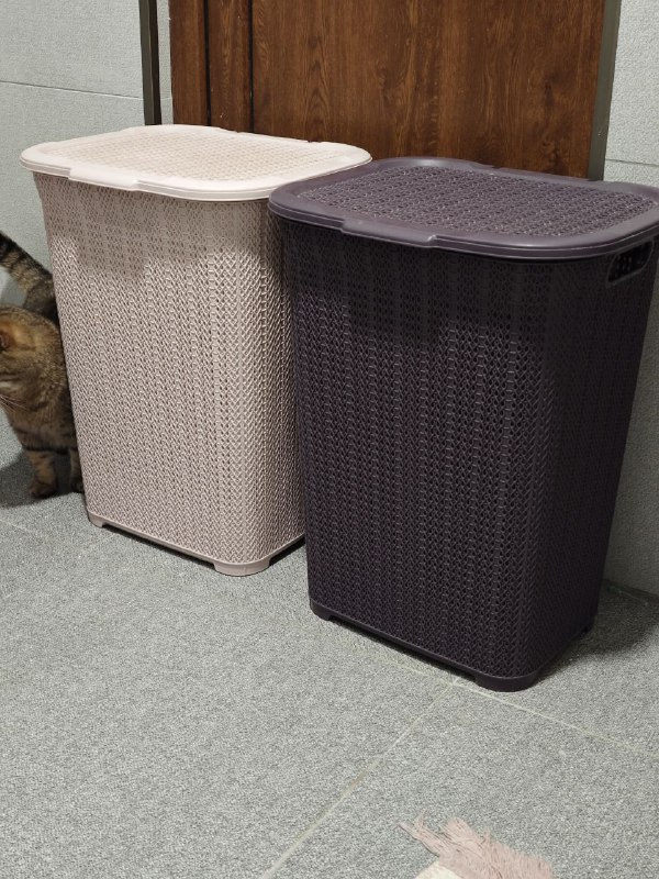 Чайник Xiaomi 5