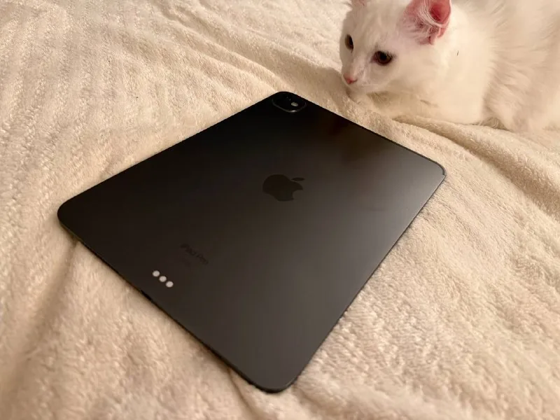iPad Pro 11 M4 1