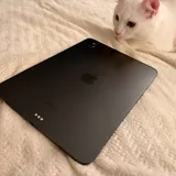 iPad Pro 11 M4 1