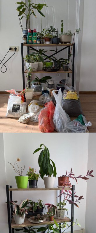 Стол Bofigo, Полки Bofigo, Кресло Jysk, Ортопедический матрас 7