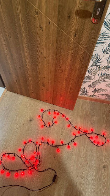 Гирлянда, чехол Iphone, футболка, шапочка для плавания 3