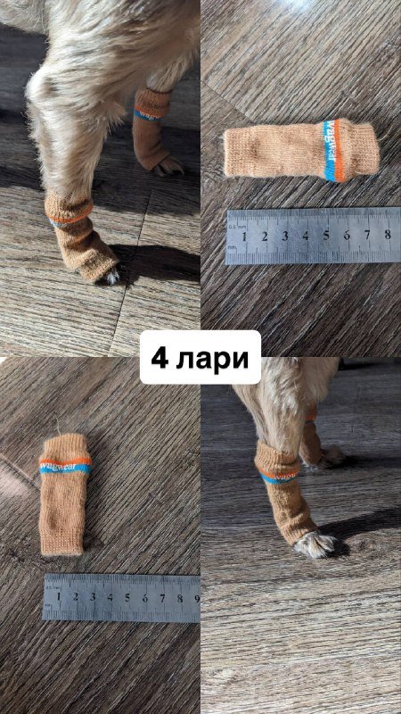 Обувь и носки для маленькой собаки 3