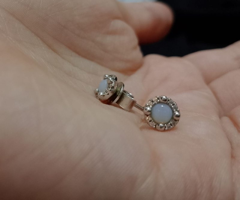Серебряные гвоздики