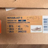 Мужские беговые кроссовки ASICS Novablast 6 6