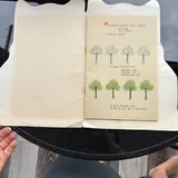 Твоя жизнь в искусстве, Pop Up. Живая планета. Джунгли, Золушка. Хрустальная мечта, Усатый полосатый, Домовёнок Кузька, Малыш и Карлсон 10