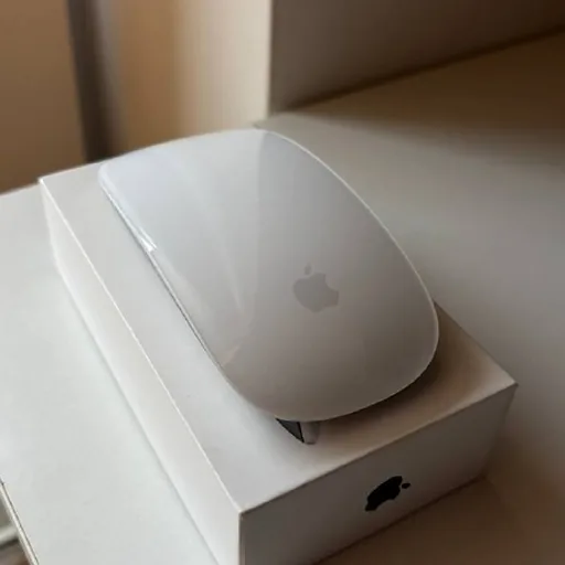 Apple Magic Mouse