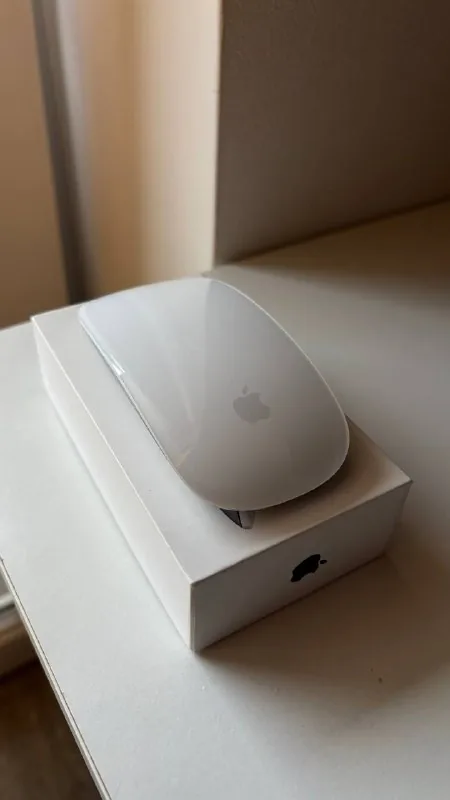 Apple Magic Mouse 1