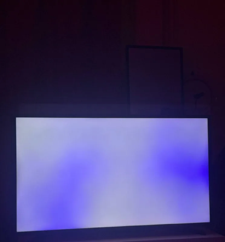 Samsung 43-inch TV with screen defect 1