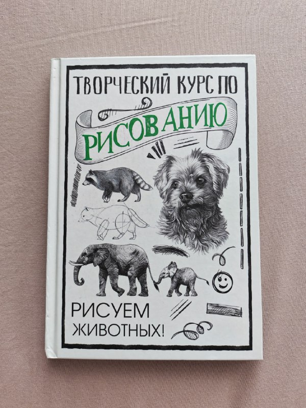 Творческий курс по рисованию животных