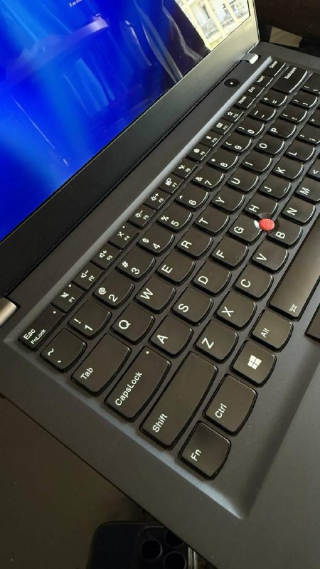 Ноутбук Lenovo Thinkpad T490s