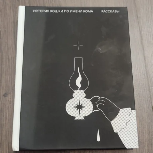 Художественная литература