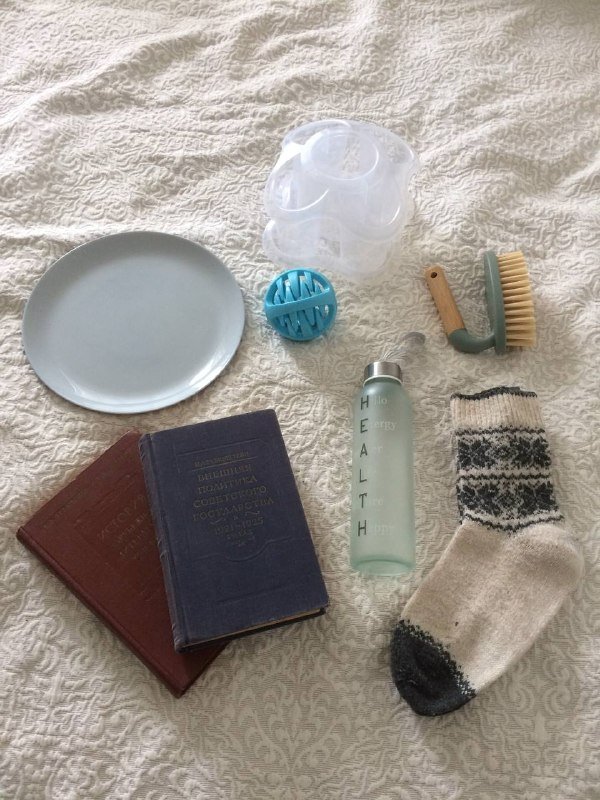 мячик для собаки, хоз. щётка, носки, бутылка для воды, книги, органайзер, тарелка