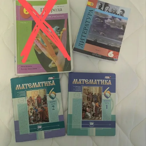 Учебники 6 класса, литература, математика