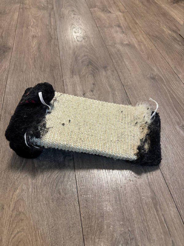 Лоток, наполнитель, миски, когтеточка для кота 4