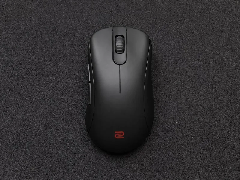 Мышь Zowie EC2-DW Black 1