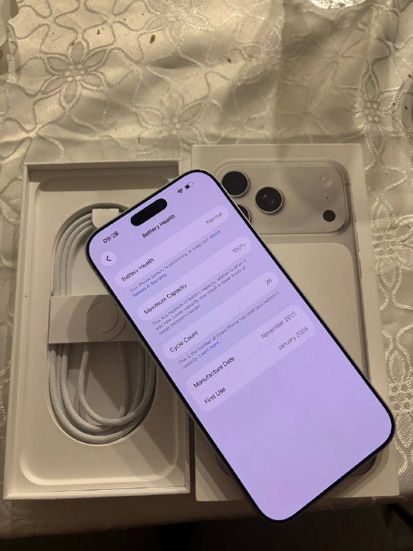 iPhone 17 Pro Max 256GB Silver