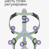Анатомическая шлейка для собак 3