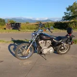 Harley Davidson 883 Sportster 3