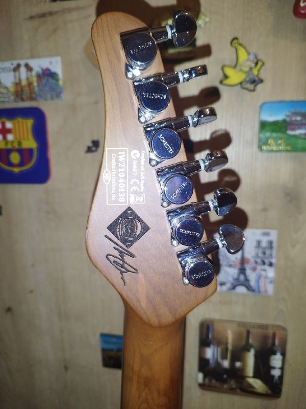 Schecter Nick Johnston Signature электрогитара 3