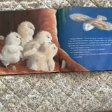 Книга «Самый маленький совенок» 3