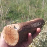 Деревянные и бамбуковые флейты 4