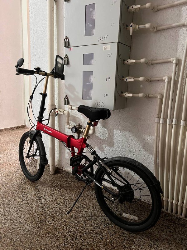 Пальто, парные кружки, велосипед, дискошар, осушитель воздуха, массажный стол, однодневные линзы, крупные динозавры 3