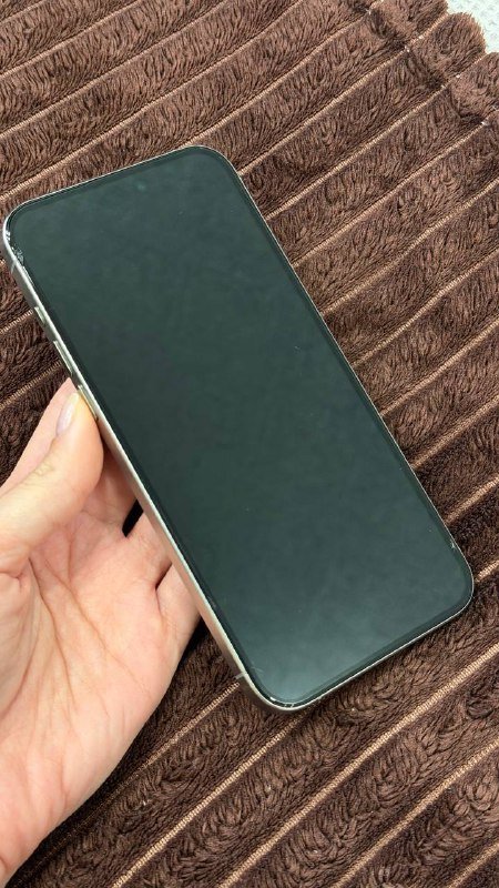 IPhone 15 Pro Max 256 GB 4