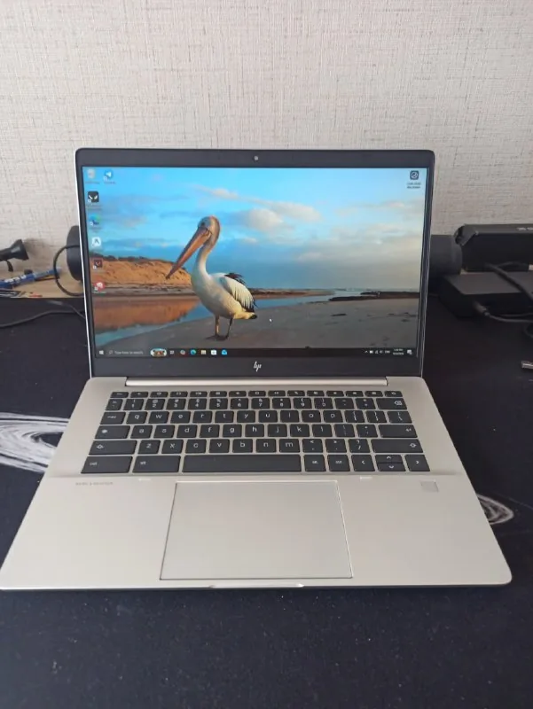 Ноутбук HP Elite c645 G2 1