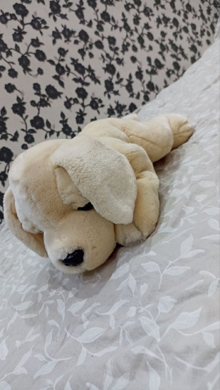 Игрушки мягкие собачки, переноски 6