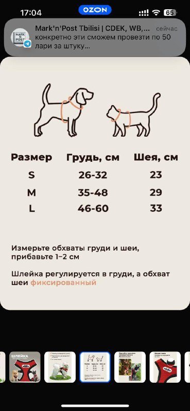 Шлейка для кошек и собак, размер М 2