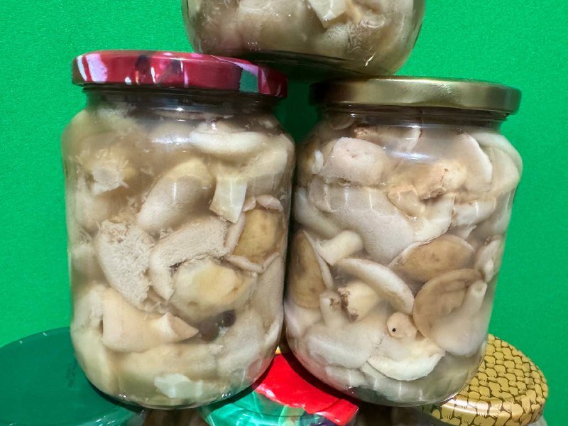 Маслята маринованные банка 720 грамм 5