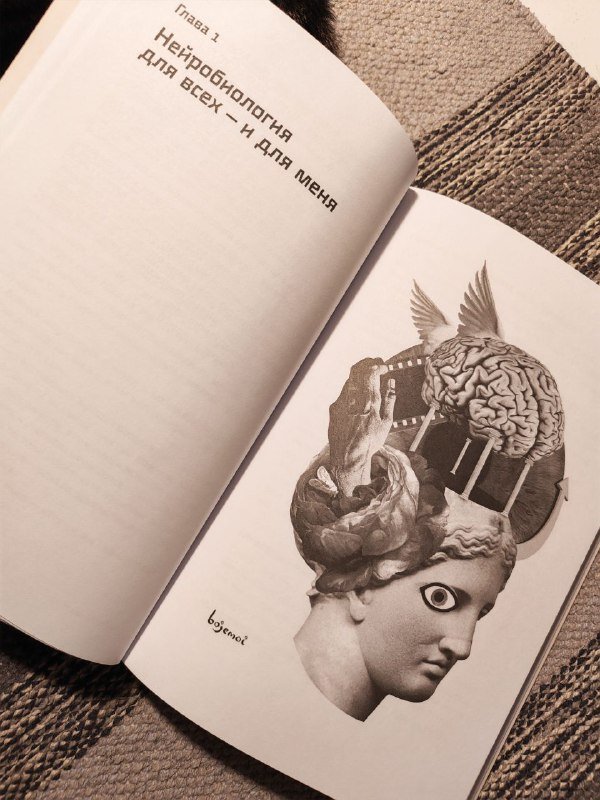 Книги Духовный интеллект, Homo Mutabilis 3