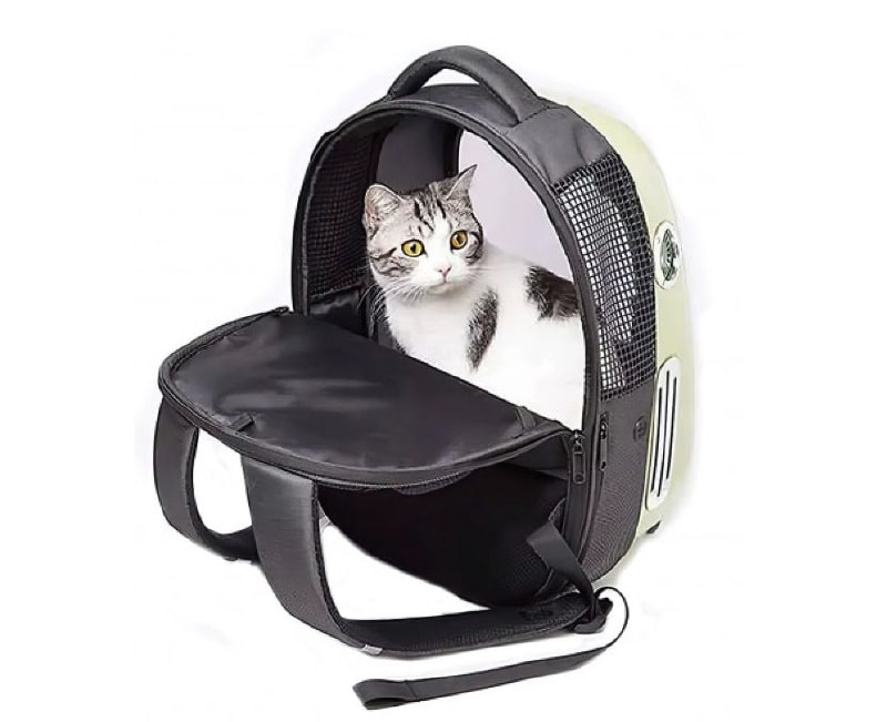 Petkit переноска-рюкзак для кошек нежно-зелёный